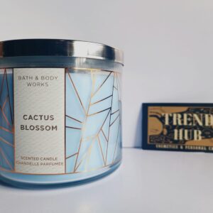 Bath & Body Works Cactus Blossom 3-Wick Candle