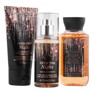 Bath & Body Works Into The Night Mini Gift Set