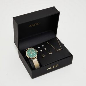 ALDO Kedirede Analog watch and jewelry set